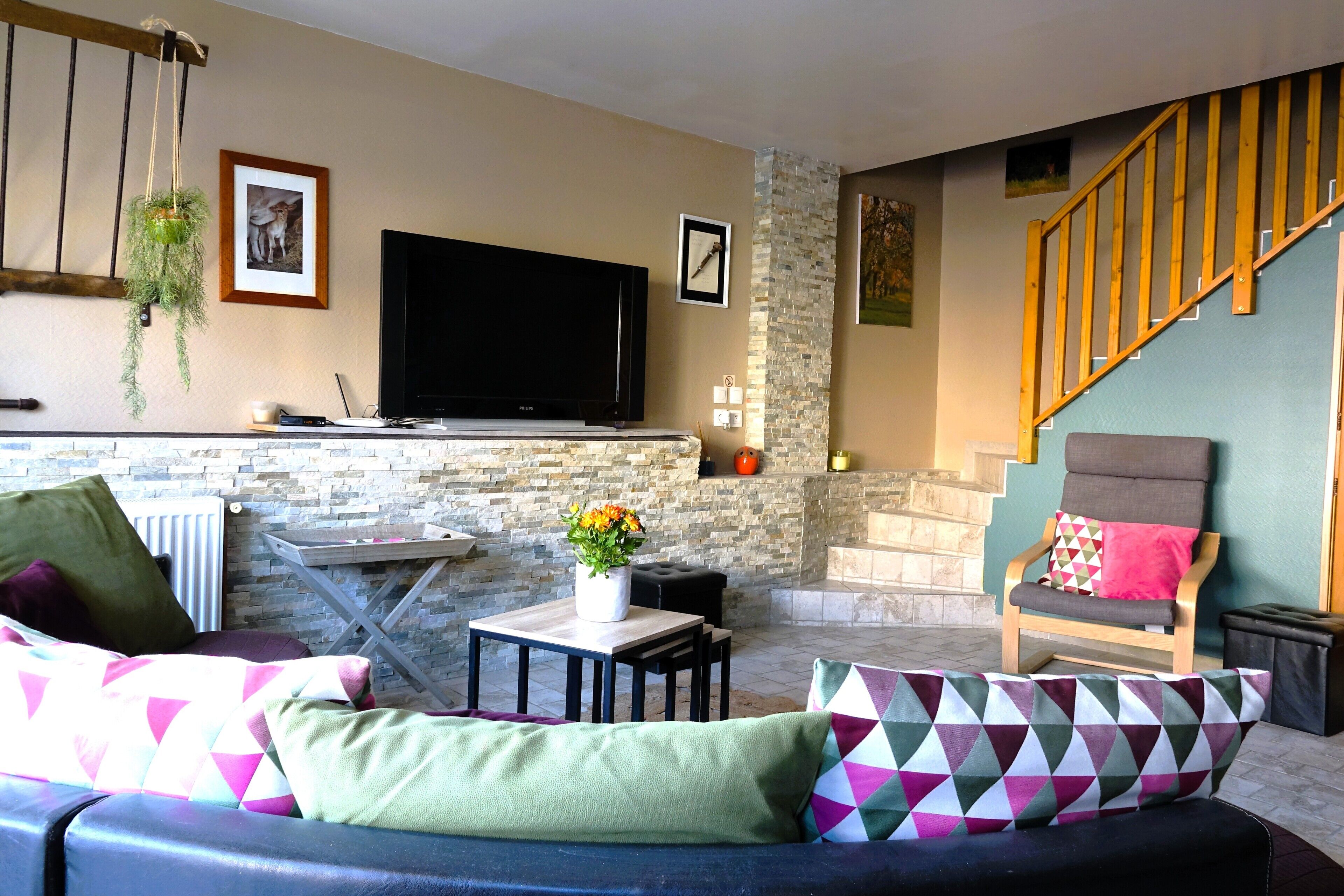 Télévision, baby-foot, table de tennis de table, livres