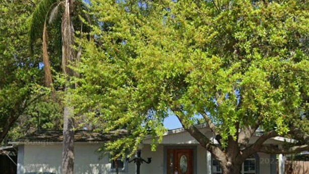A house with a covered carport, a front door, and a tree in the front yard. - Orange Blossom Refuge (Pinellas County)