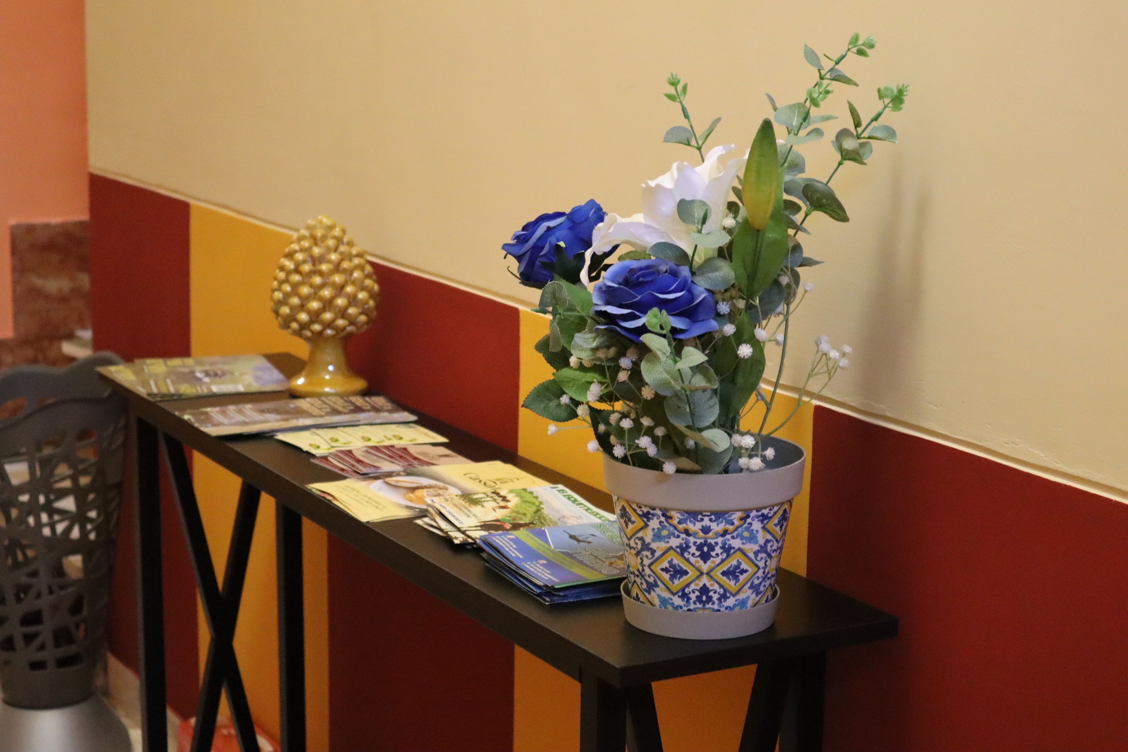 Une table avec des brochures et un pot de fleurs aux fleurs bleues et blanches.