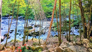 A wooden deck overlooking a river with trees and rocks. - Ultra Private, Crooked Reflections, Riverside Retreat, Hot Tub, Waterfront Glass (Norway)