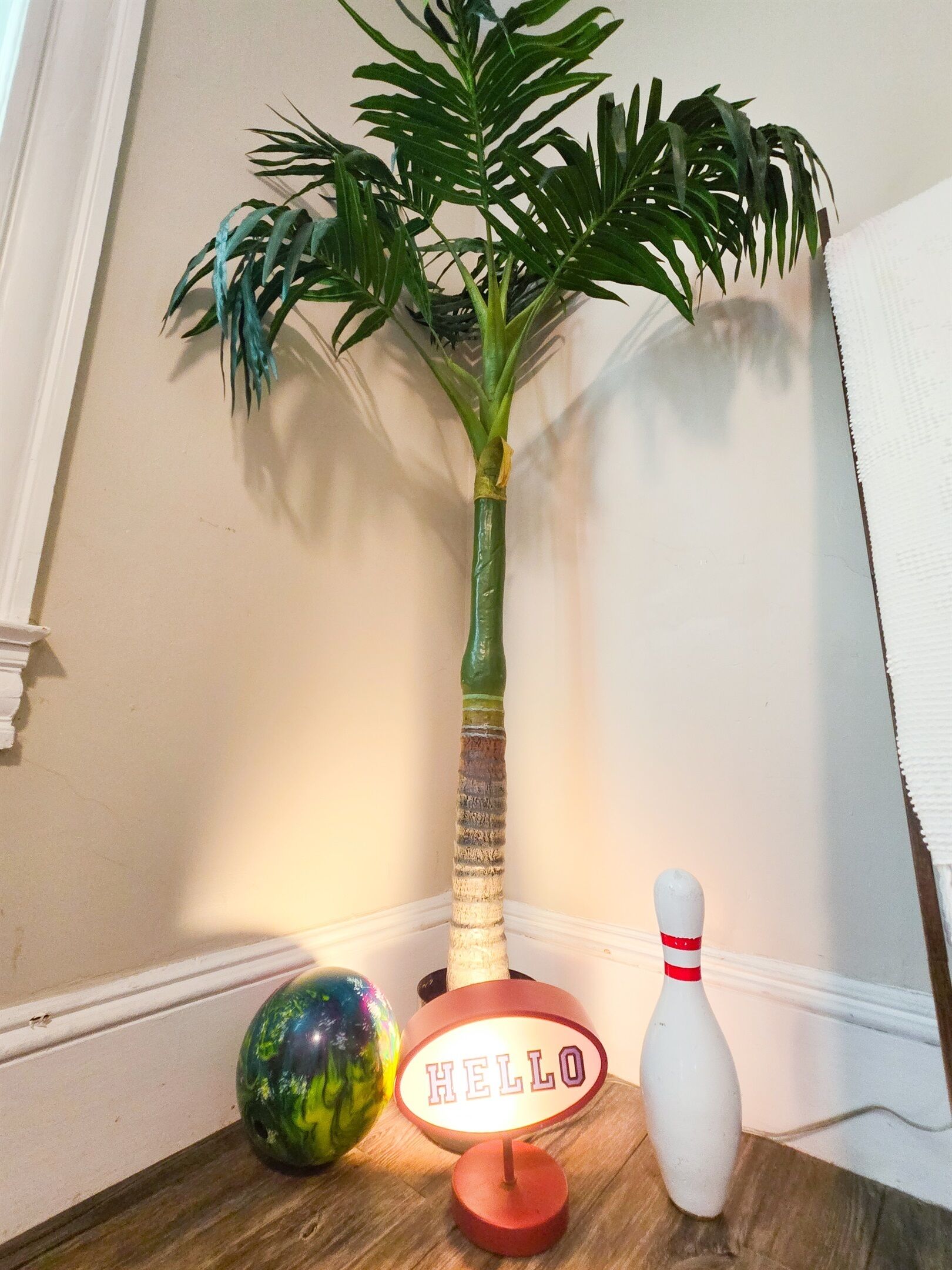 Un racó d'una habitació amb una planta en test, un bol vívid i un rètol de neó que diu "HELLO".