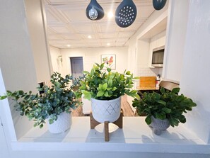 Une cuisine moderne avec des meubles blancs, un plan de travail en bois et un îlot central agrémenté d’une plante en pot.