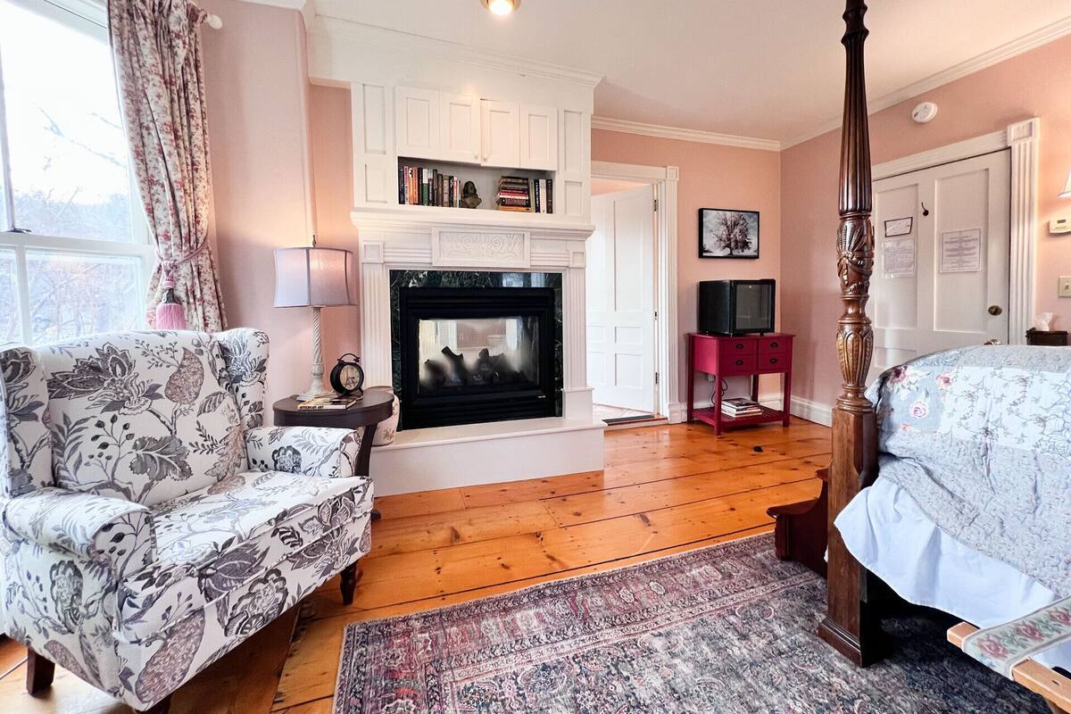 Un dormitorio con una cama con dosel, una chimenea, un televisor sobre un pedestal y una estantería.