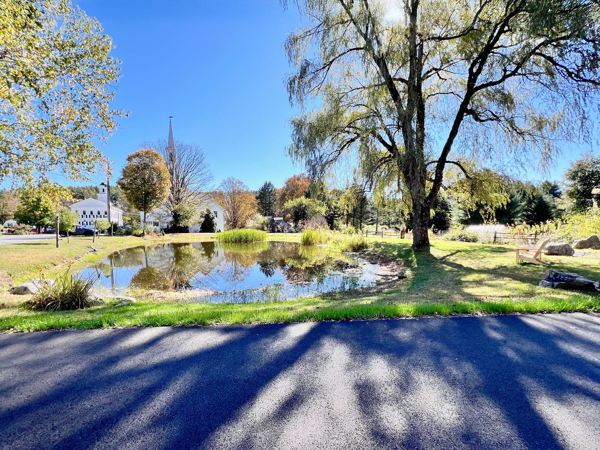A park with a pond, trees, and a building in the background.