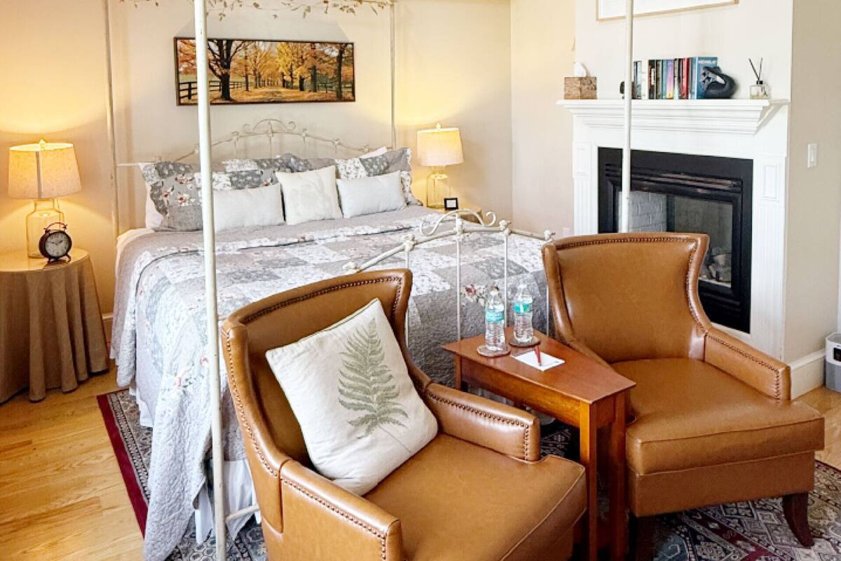 Un dormitorio con cama con dosel, una mesita de noche con lámpara, una silla, una chimenea y una estantería.