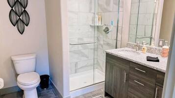 Combined shower/bathtub, hair dryer, soap, toilet paper