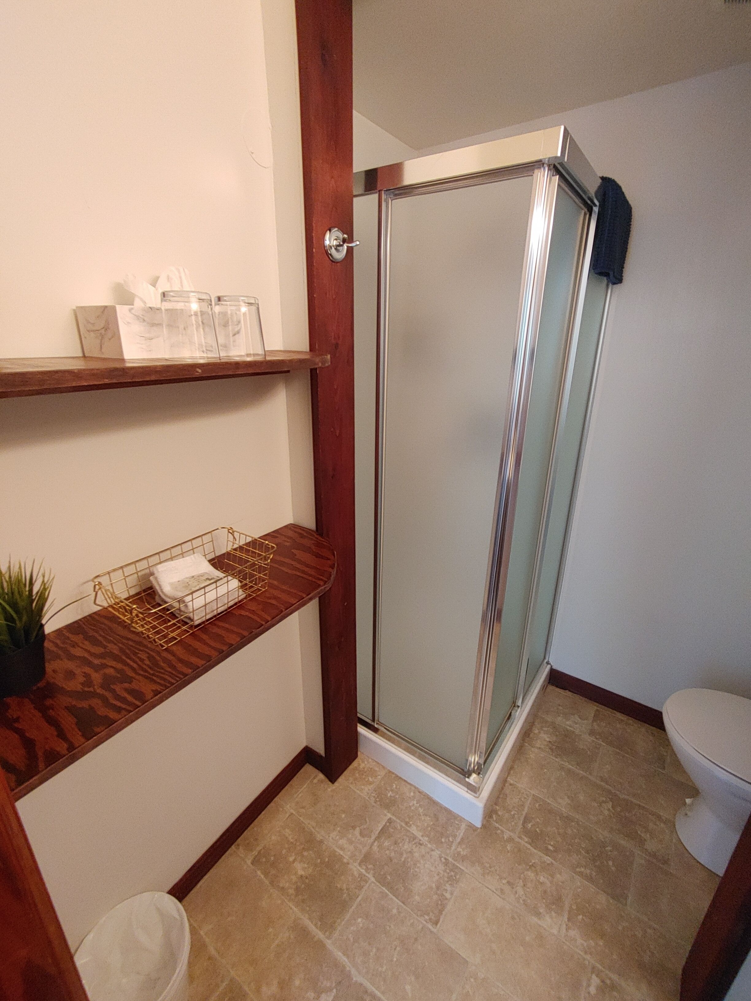 A bathroom with a glass shower enclosure, a toilet, and a shelf with toiletries.