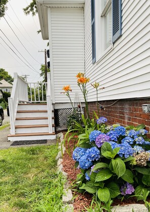 Property grounds - Cozy Salem Getaway. Historic Home Near All the Sights (Salem)