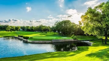 Golfe