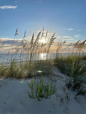A beach scene with sand, grass, and the ocean under a clear sky. - 🏝️ 1min walk 2 Pool ☀️ 5min walk 2 BEACH ☀️ LG PATIO ☀️ 6 seater GOLFCART included (Port St. Joe)