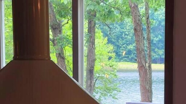 A wood-burning stove with a clear view of a lake and trees through the window.