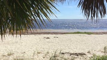 Plage à proximité, chaises longues, serviettes de plage