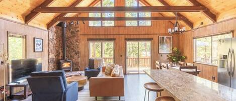 TV, fireplace, books