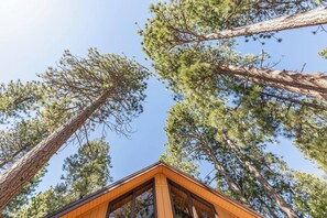 Exterior detail - Cabin in Arnold's Blue Lake Springs, pool, 2 lakes, snow (Arnold)