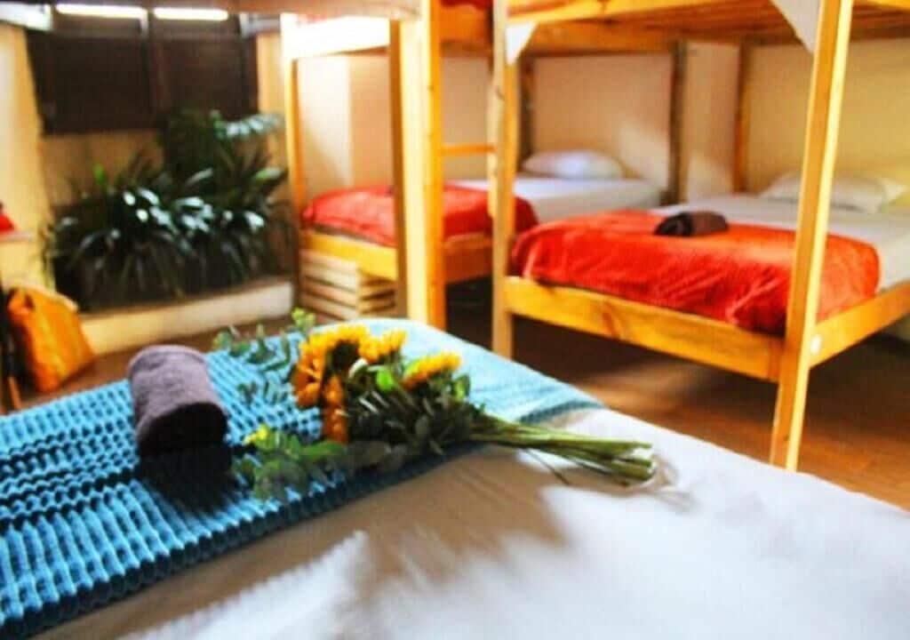 Foto - Volko Party Hostel