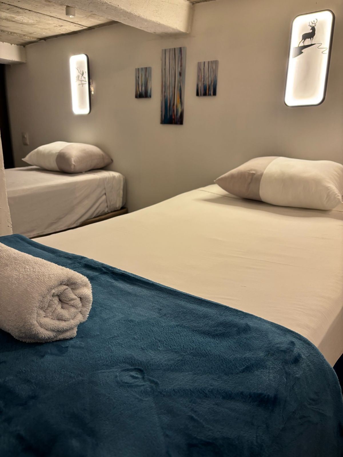 Foto - Volko Party Hostel