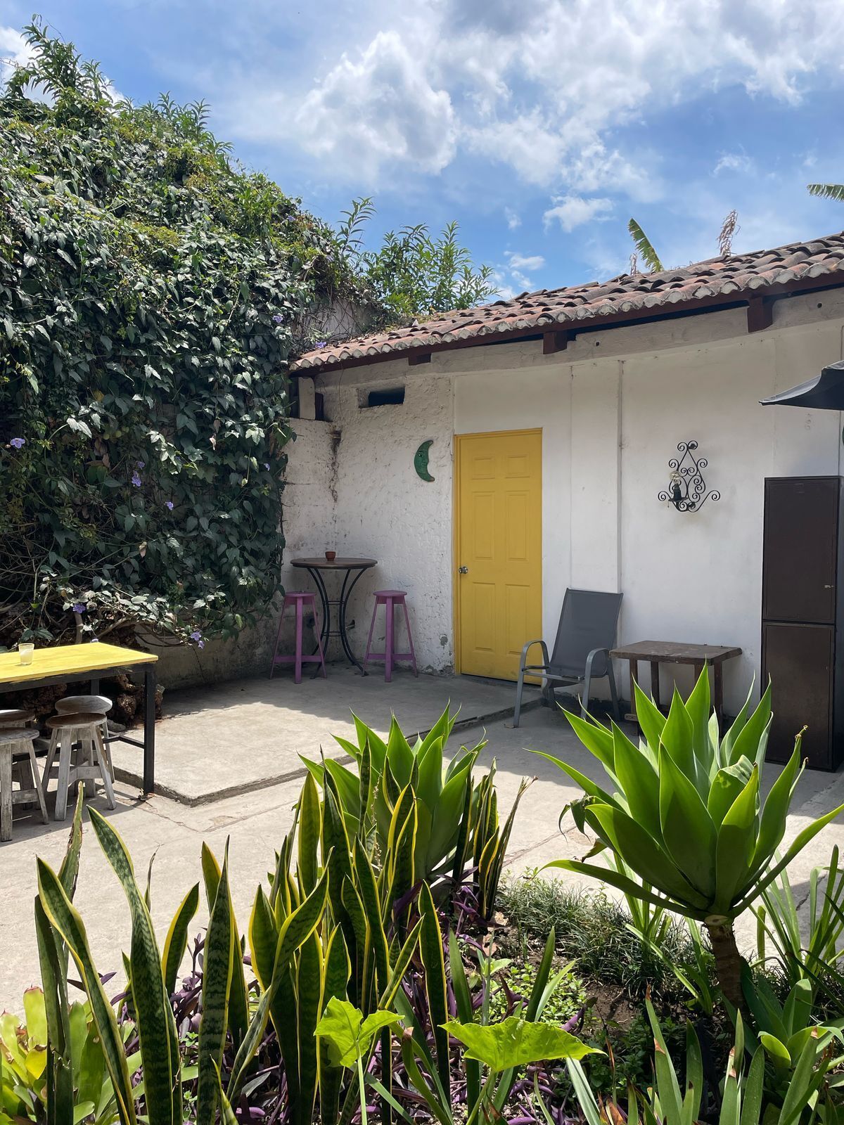 Foto - Volko Party Hostel