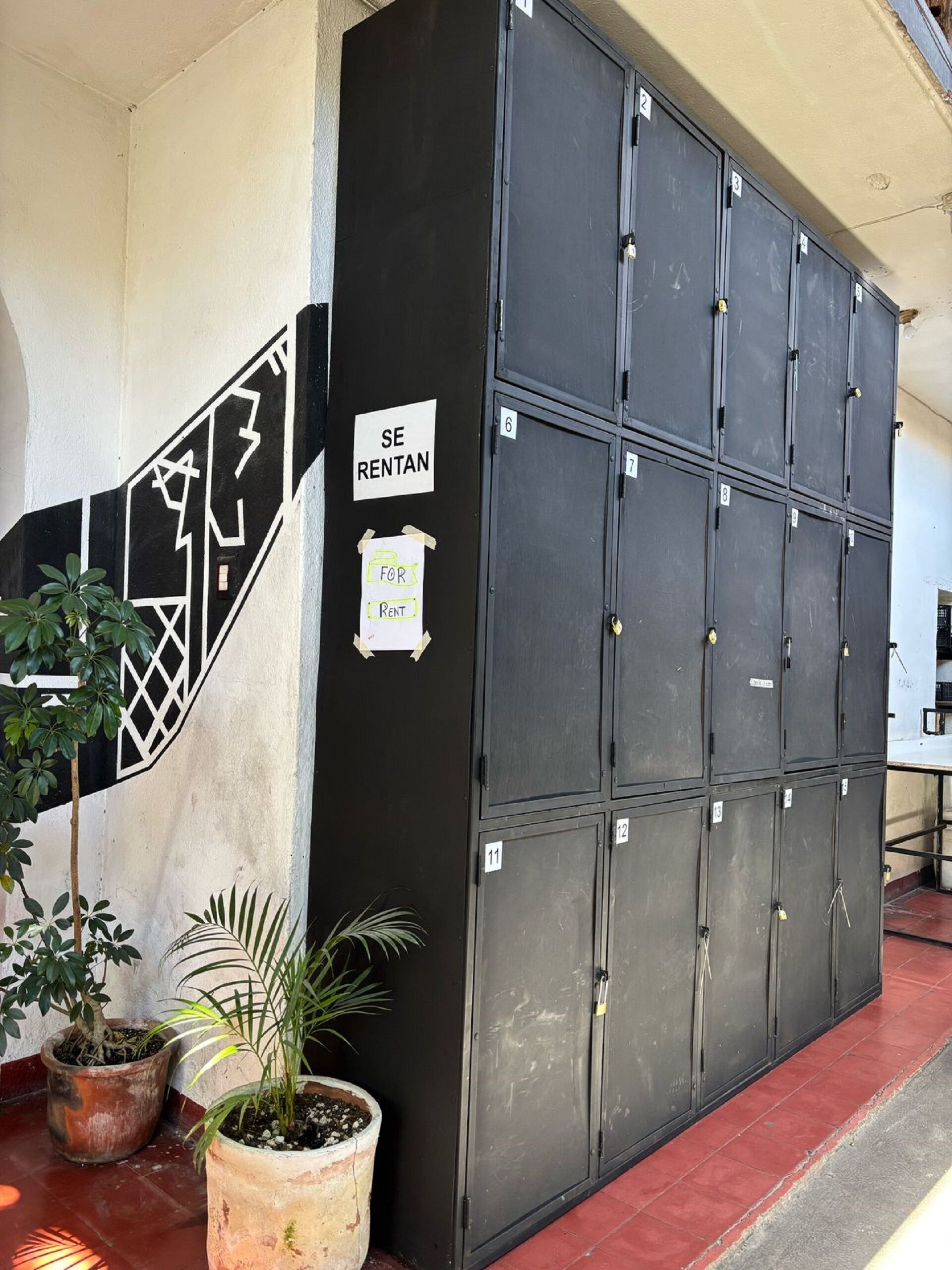 Foto - Volko Party Hostel