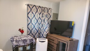 A small room with a TV on a wooden cabinet, a small table with a vase of flowers, and a heater. - Cosy Studio in a Private home with private entrance and door (Bronx)