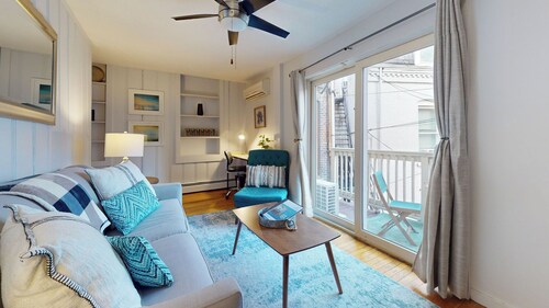 Sun-filled 1 bed, 1 bath in Brookline Village