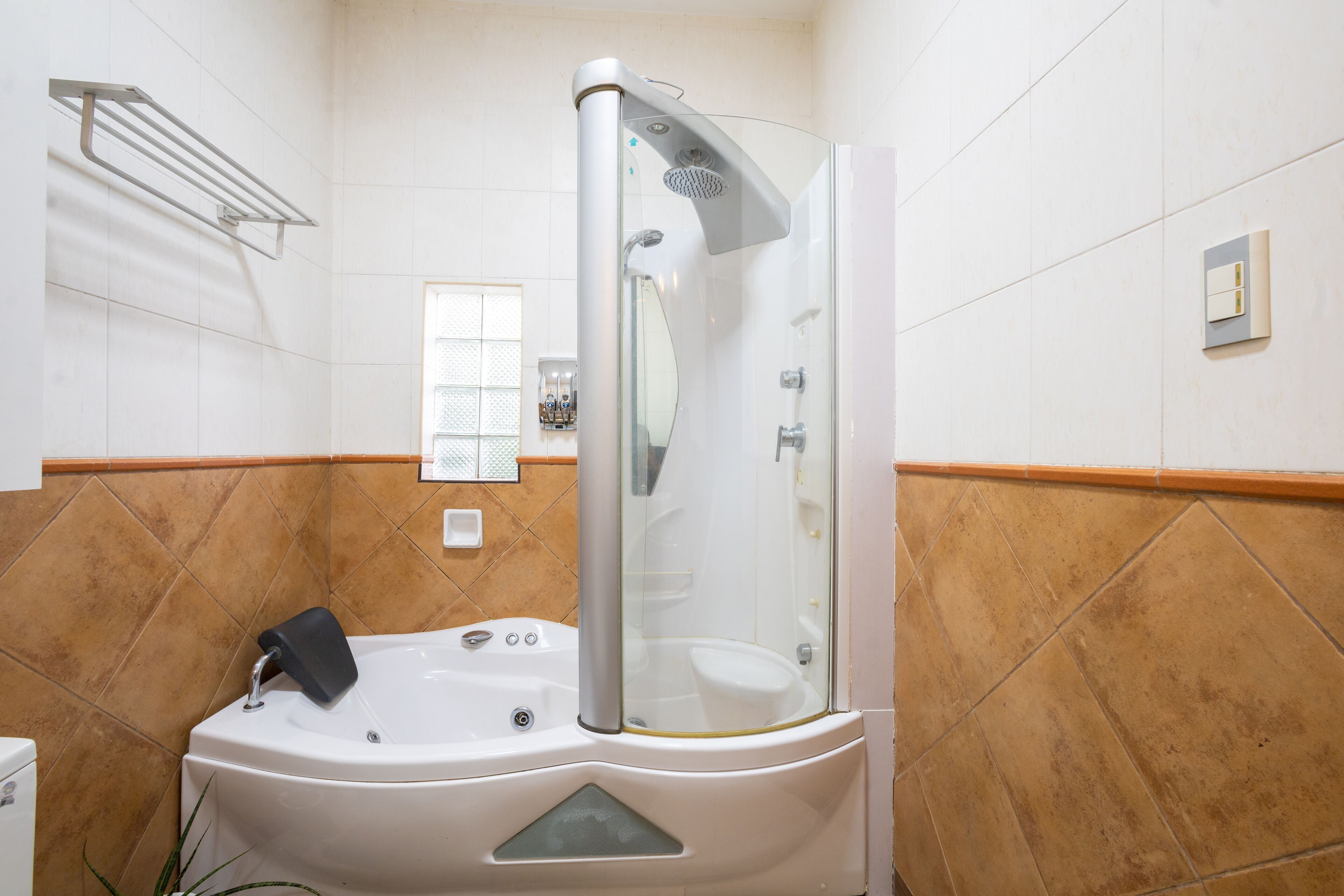 Combined shower/bathtub, jetted bath, hair dryer, bidet