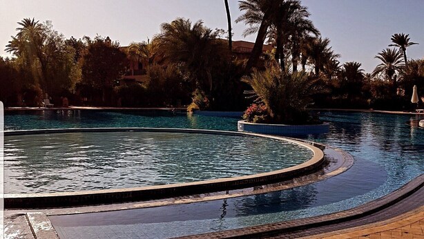 Une piscine à bord incurvé, entourée de palmiers et bordée d’une allée pavée.