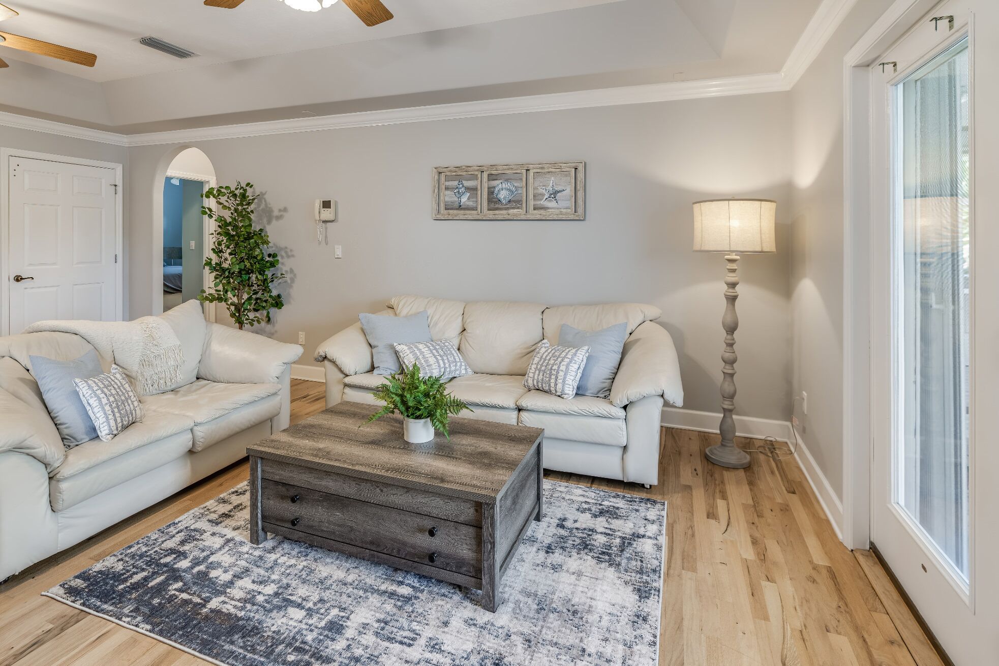 Smart TV, DVD player, books, video library