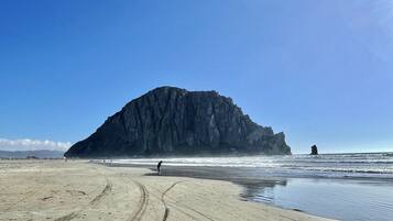 Playa en los alrededores