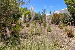 A garden with various plants and trees, a pathway, and a building in the background.