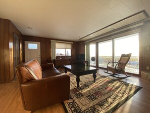 Smart TV, fireplace, DVD player, books