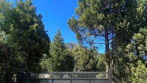 Une allée de gravier mène à une zone délimitée par un portail et une clôture en métal.