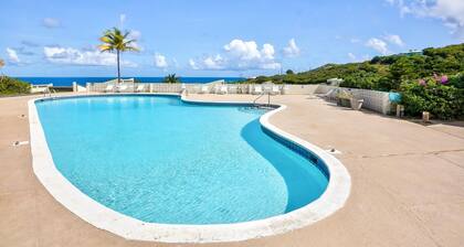 Island oasis on St. Croix's East End with gorgeous Buck Island views!
