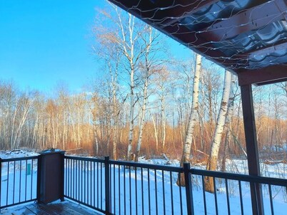 Cozy 35 Acre Waterfront Property With Cabin