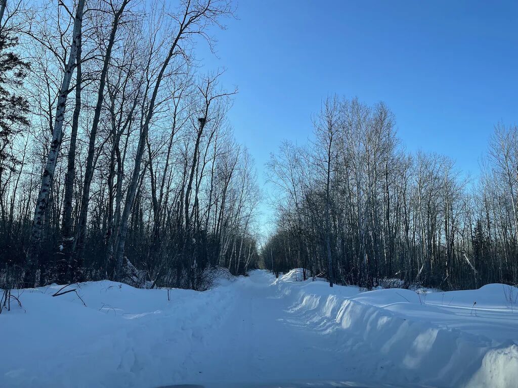 A snow-covered road flanked by leafless trees under a clear blue sky.