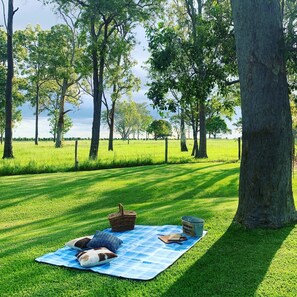 Área de parrillas y picnic