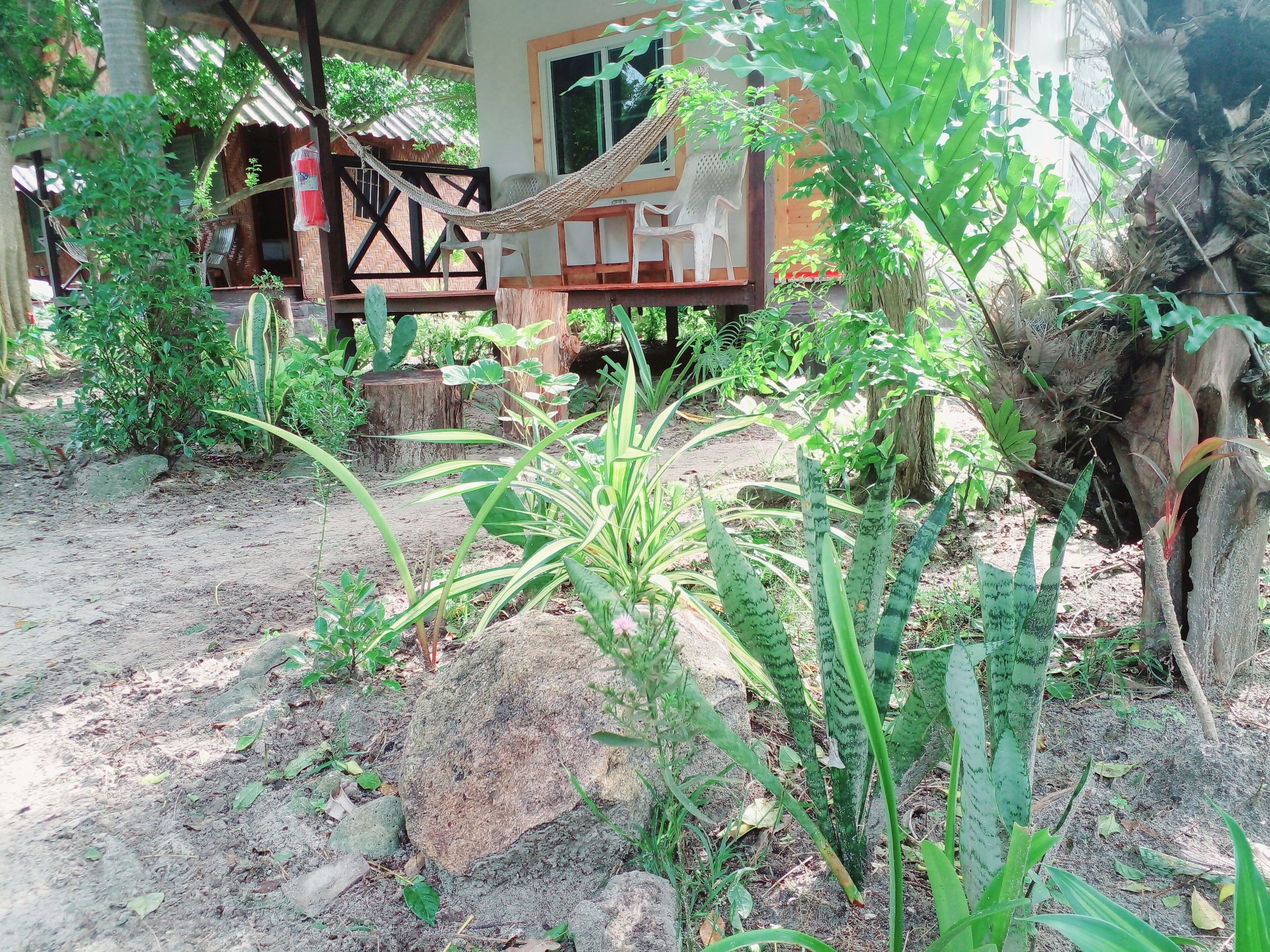 Foto - Lipe Garden Beach Resort