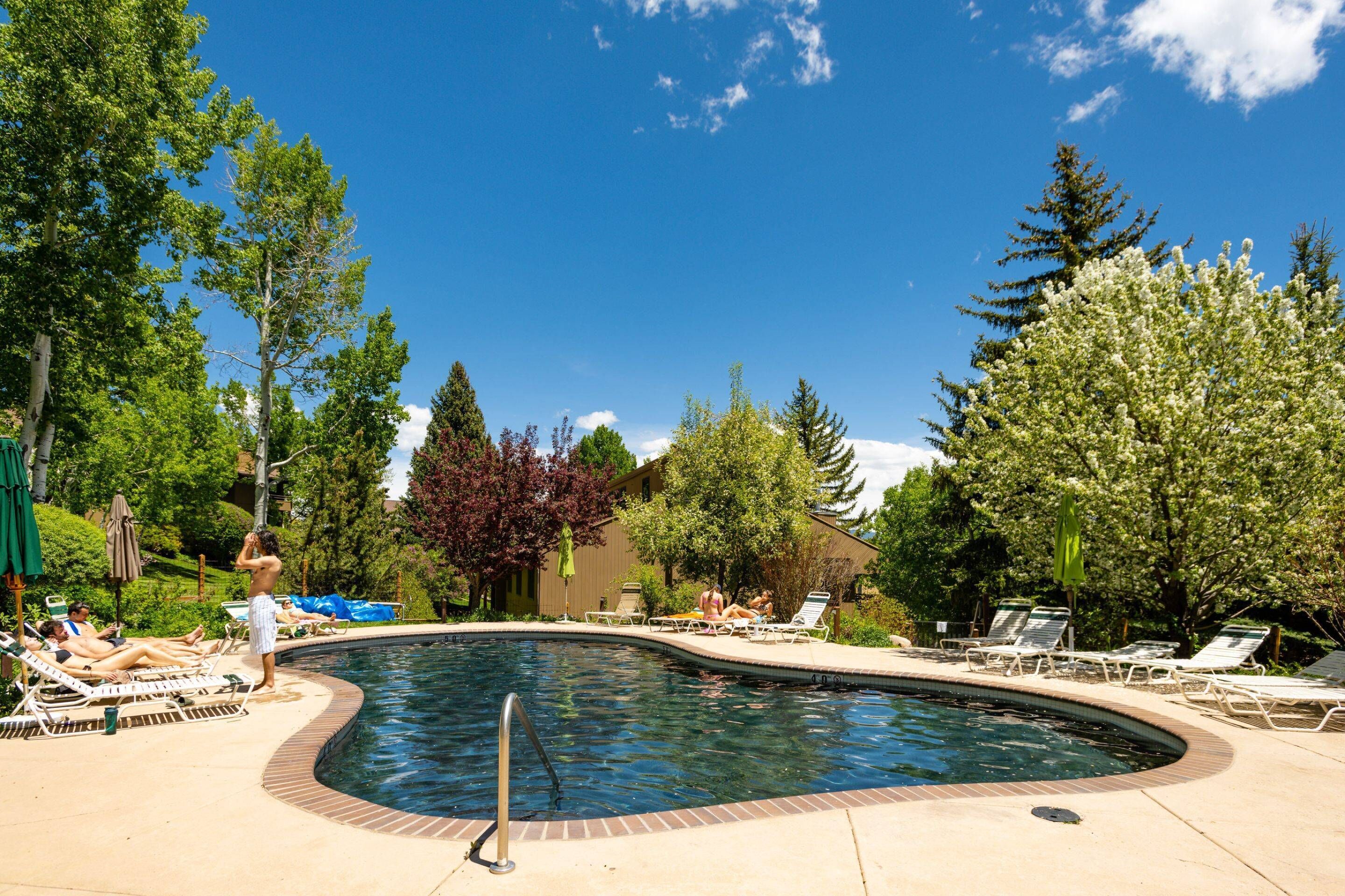 A swimming pool with lounge chairs and umbrellas, surrounded by trees and a clear sky.