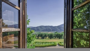 Paesaggio rurale visto da una finestra, con campi, alberi e colline.
