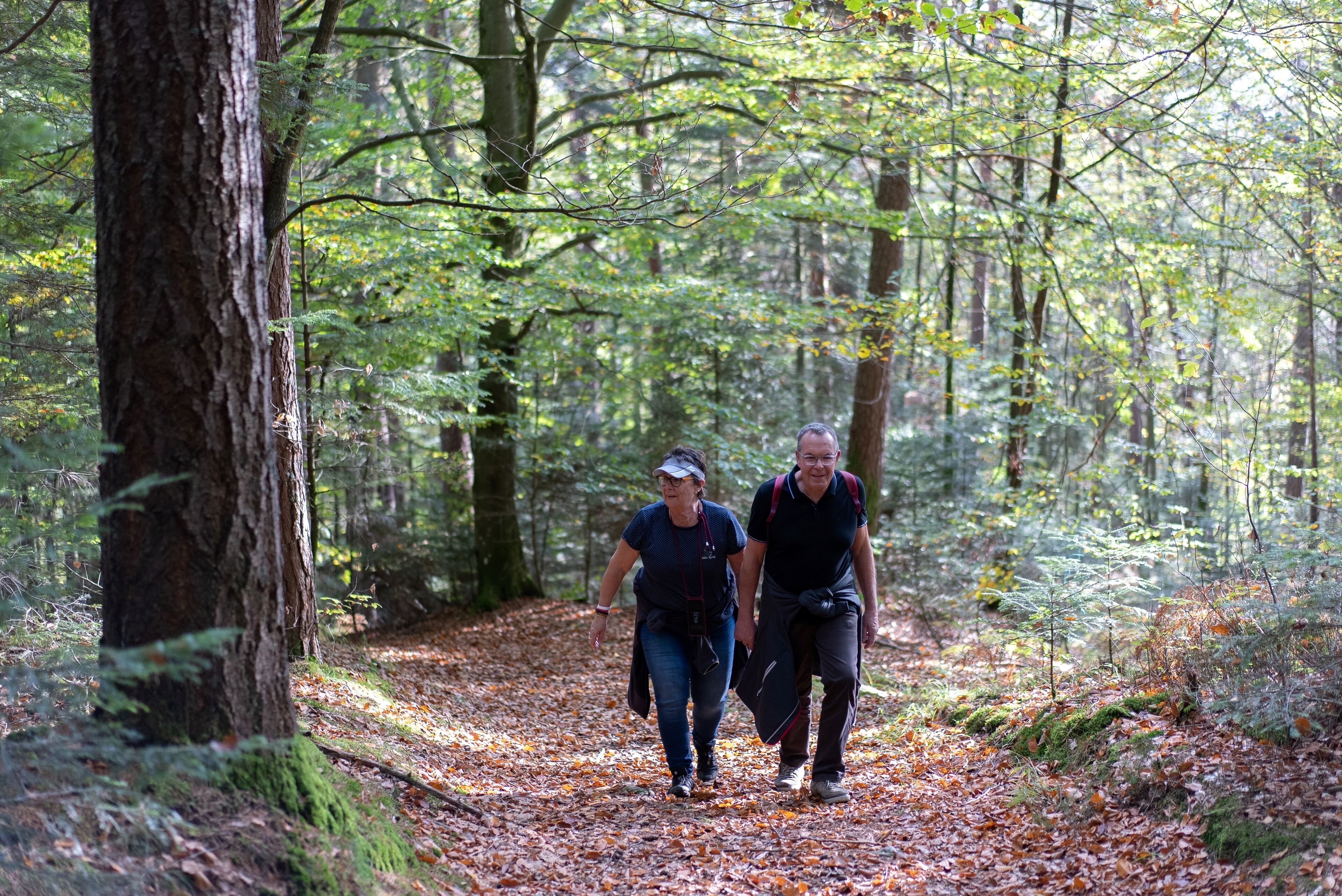 Due persone che camminano lungo un sentiero nella foresta.