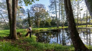 Un cadre extérieur paisible avec un étang, des arbres et une personne debout au bord de l’eau.