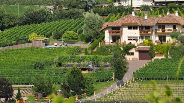 Ein zweistöckiges Haus mit Balkon, umgeben von üppigen, grünen Weinbergen.