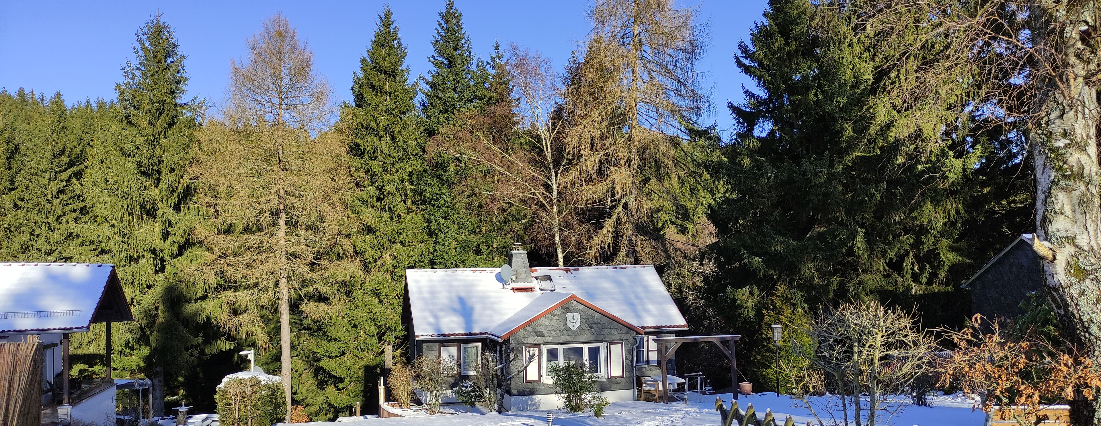 Ein Haus mit schneebedecktem Dach, umgeben von hohen immergrünen Bäumen und einem Holzzaun.