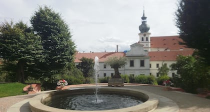 Central and quiet apartment in a garden district close to the Prague Castle