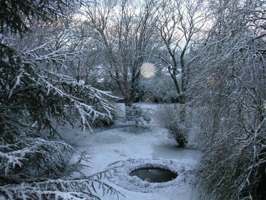 A snow-covered garden with a circular pond and dense trees.