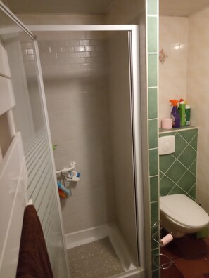 Bathtub, towels, toilet paper - Maison DE Campagne AU Calme à 25 min de Provins (Soligny-les-Étangs)