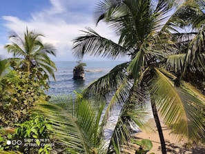 A tropical beach scene with palm trees and a rocky outcrop in the water.