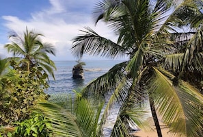 Une plage tropicale avec des palmiers et un affleurement rocheux dans l’eau.