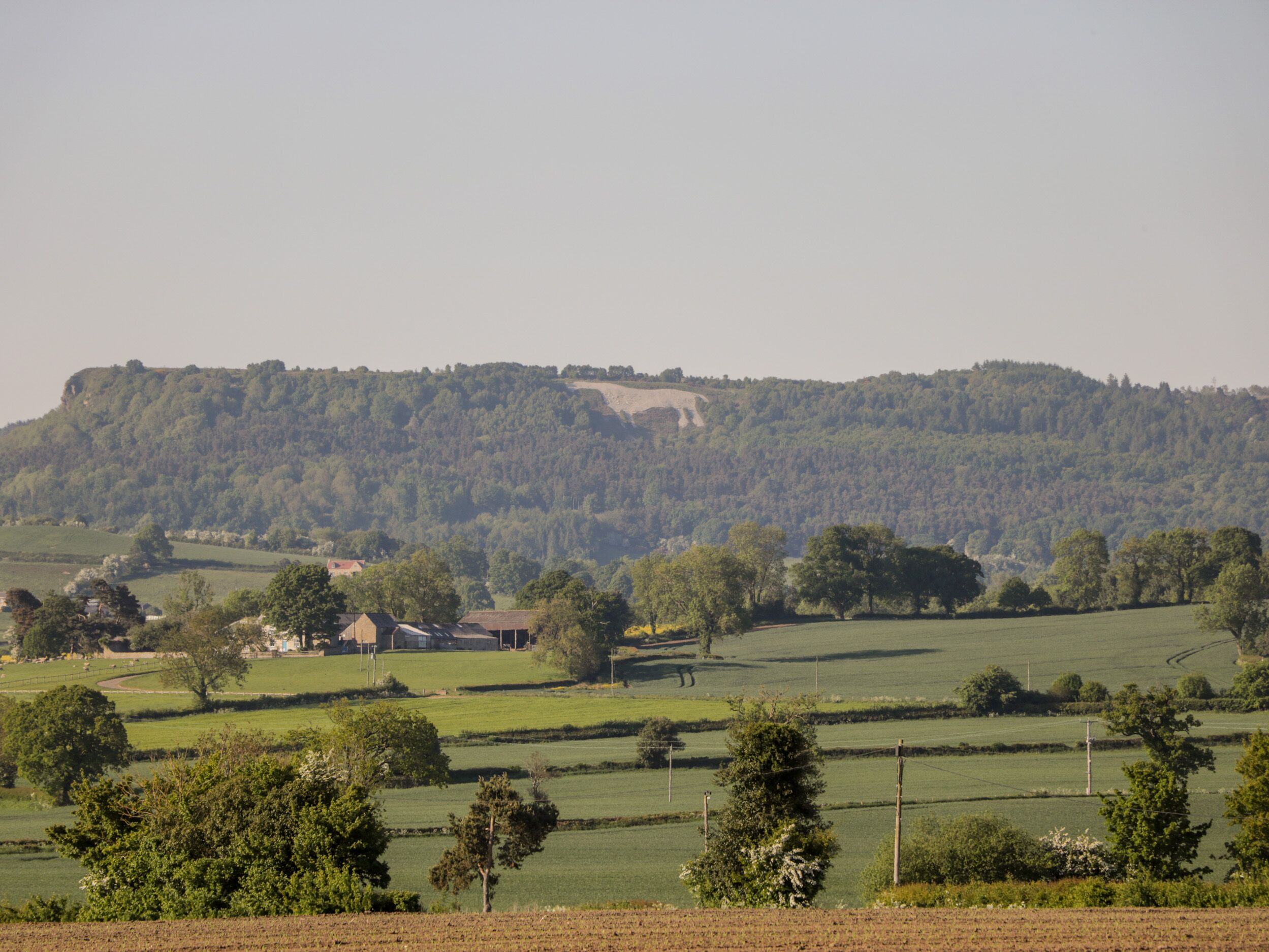 Paesaggio rurale con una collina, case e campi aperti.