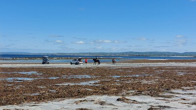Southland Holiday Home