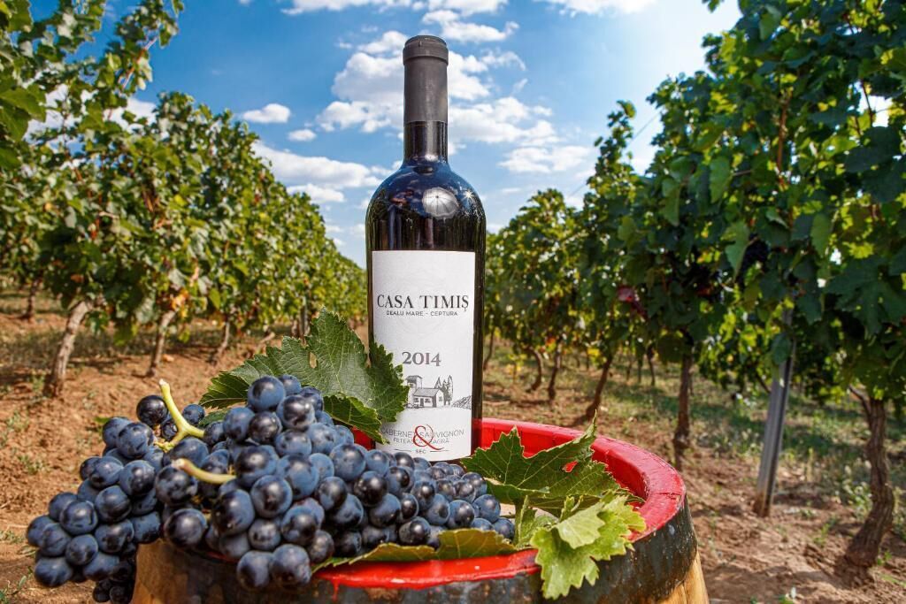 A bottle of Casa Timis wine from 2014, surrounded by grapes and leaves in a vineyard.